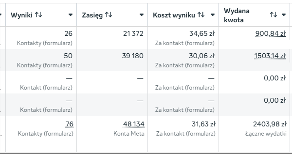 Screen wyników kampanii ENERB z panelu reklamowego